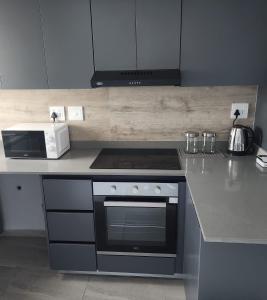 una cocina con estufa y microondas en Arum Cove Bloubergstrand, en Cape Town