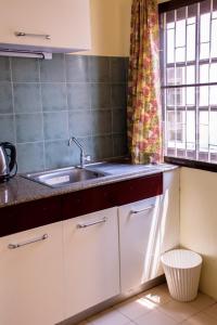 Indogee Apartments tesisinde mutfak veya mini mutfak
