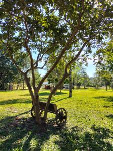 einen Wagen unter einem Baum im Park in der Unterkunft Los Lapachos Lodge in Puerto Libertad