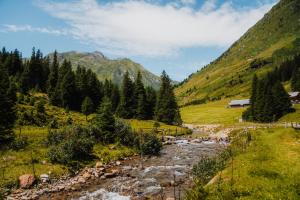 Príroda v okolí apartmánu