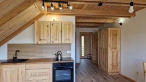 a kitchen with wooden cabinets and a counter top at Apartmany Nemo in Nemotice