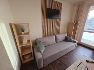TV a/nebo společenská místnost v ubytování Klatovy Apartment