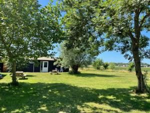 a park with trees and a bench in the grass at Tiny House Egmond in Egmond aan den Hoef