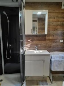 a bathroom with a sink and a shower at Tiny House Egmond in Egmond aan den Hoef