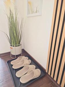 Fotografie z fotogalerie ubytování Klatovy Apartment v destinaci Klatovy