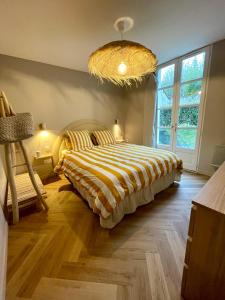 a bedroom with a large bed and a chandelier at Appartement terrasse centre Saint Martin in Saint-Martin-de-Ré