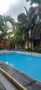 安吉利斯The Vjour Hotel的一个巨大的蓝色游泳池，背景是棕榈树 更多5张照片