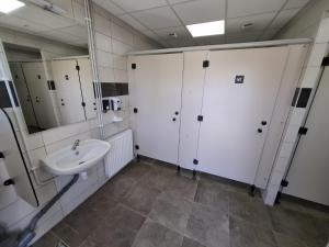 a bathroom with a sink and a mirror at Le Cabanon du camping 2 in Bannes