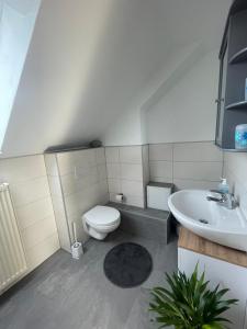 a bathroom with a toilet and a sink at Eifelbrise in Simmerath +18 photos