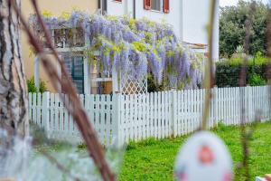 Zahrada ubytování Casa Vacanze Vignarca - Località Perelli