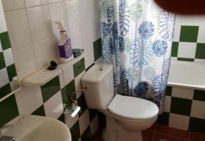 ロス・クリスティアーノスにあるCute apt on the beachのトイレとシャワーカーテン付きのバスルーム