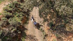 Majutusasutuse Finca La Bobadilla - The Leading Hotels of the World külastajad