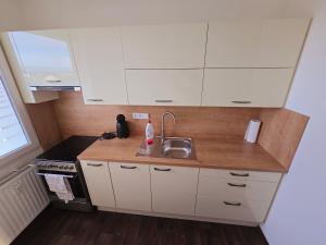 Kuchyň nebo kuchyňský kout v ubytování Klatovy Apartment