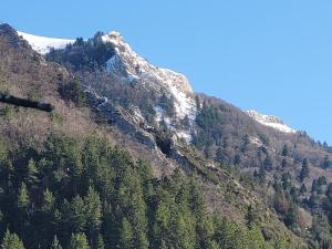 a view of a mountain with trees on it at Terre Rouge in Boulc