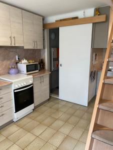 Kuchyň nebo kuchyňský kout v ubytování Gréta apartman