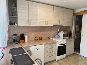 Kuchyň nebo kuchyňský kout v ubytování Gréta apartman