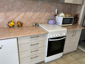 Kuchyň nebo kuchyňský kout v ubytování Gréta apartman