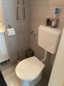 Koupelna v ubytování Gréta apartman