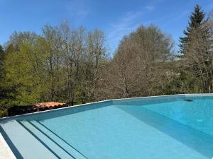 a blue swimming pool with trees in the background at La Maillerie in Busserolles