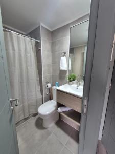 a bathroom with a toilet and a sink and a mirror at Departamento nuevo para 5 personas in Temuco