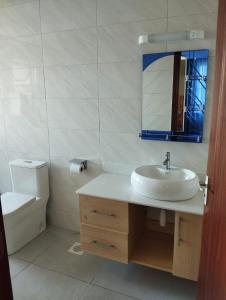 a bathroom with a sink and a mirror and a toilet at Sangare Hills Country Homes & Resort in Mweiga