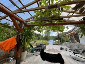 a wooden deck with plants and a glass roof at #Beautiful outdoor area and cozy small cottage# in Fotlandsvåg