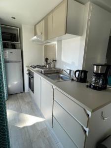 une petite cuisine avec un évier et un réfrigérateur dans l'établissement Mobil home 3 chambres, à Montalivet-les-Bains