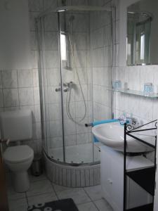 a bathroom with a shower and a toilet and a sink at Ferienwohnung J.Weber in Hornbach