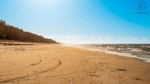 una playa vacía con huellas de neumáticos en la arena en Flatbook Apartamenty - Trimare Sztutowo z bilardem i parkingiem, en Sztutowo