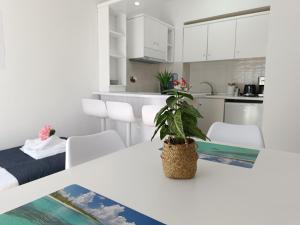 a white kitchen with a plant sitting on a table at Nautilus City Studios & Apartments in Rhodes Town