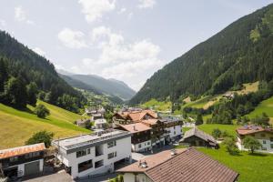 Príroda v okolí apartmánu