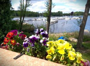 a bunch of flowers on a table near a body of water at FeWo Alpenstube in Neue Scheune