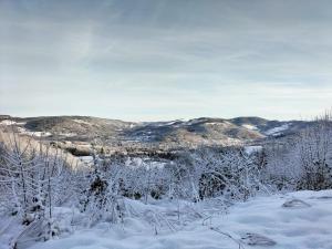 Příroda nedaleko penzionu – hostince
