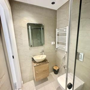 une salle de bain avec lavabo et douche dans l'établissement Jasmine Appartement, à La Marsa
