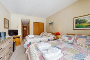 a bedroom with two beds and a television at Sunset Peak Efficiency at Rivergreen in Lincoln +42 photos