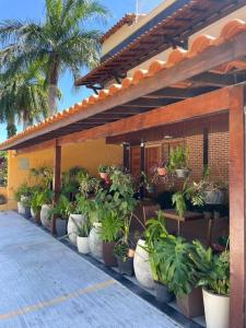 Κήπος έξω από το Caminho de Itacoatiara