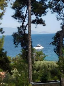 a boat in the water with a tree at Villa Lesvos 30 meters to the Sea in Pligónion