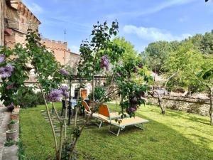 a garden with a swing and a tree with purple flowers at "Il Pollaio" guests house in Panicale