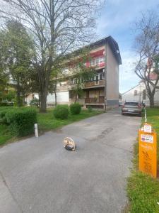 Una patineta tirada en la calle frente a un edificio. en Index 3, en Banja Luka