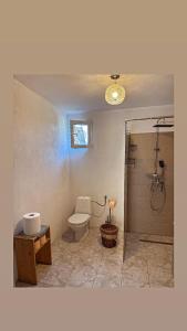 a bathroom with a toilet and a shower at PGL in bucataria mamei- cazare la tara in Mălîncrav