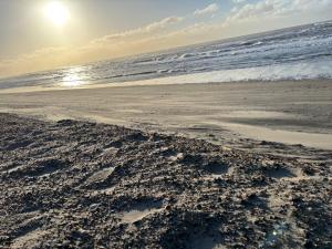 Afbeelding uit fotogalerij van 6 person Holiday Inn in Hvide Sande +3 foto's