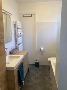 Koupelna v ubytování Duplex-Au château ambulant-au bord de la Dordogne