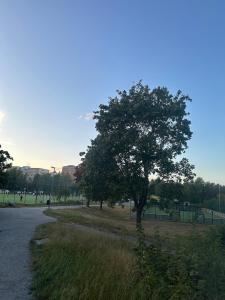 a tree in a park next to a road at 2bedroom apartment in Haninge in Mårtensberg
