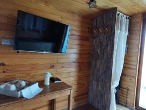 a room with a flat screen tv and a wooden wall at Roulotte à la campagne avec son spa à Cabariot in Cabariot