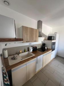 Η κουζίνα ή μικρή κουζίνα στο Studio cosy avec climatisation et terrasse +13 φωτογραφίες