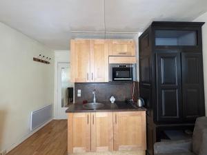 Η κουζίνα ή μικρή κουζίνα στο Studio 150m to Notre Dame