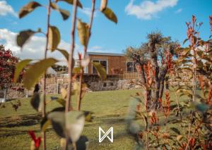 a view of a yard with a house in the background at MyStay - Quinta dos Sobrais in Valença