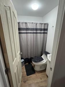 a small bathroom with a toilet and a shower at Departamento Mackay in Coihaique