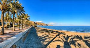 a sandy beach with palm trees and the ocean at Villa Helios Aguadulce Almeria in Roquetas de Mar