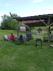 a group of people sitting at picnic tables in a park at Altana letnia nr5 - Herbergerówka Agroturystyka na wsi in Stosrow